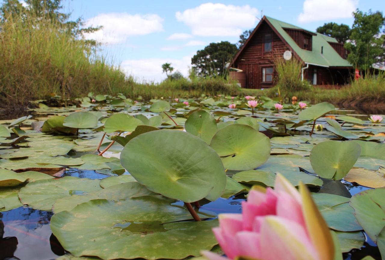 A Log Home At Buffalo Creek Buffeljagsrivier Kültér fotó